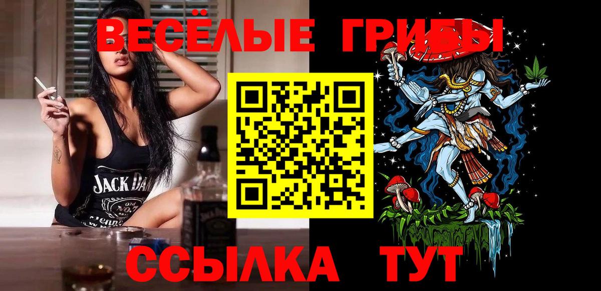 Галлюциногенные грибы Cubensis Медногорск